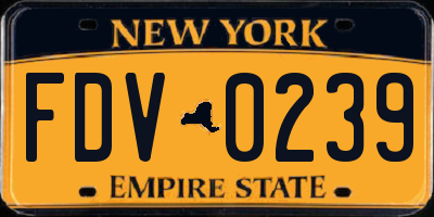 NY license plate FDV0239
