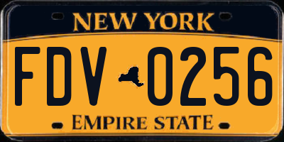 NY license plate FDV0256