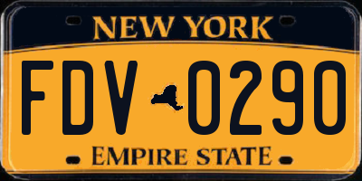 NY license plate FDV0290