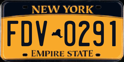 NY license plate FDV0291