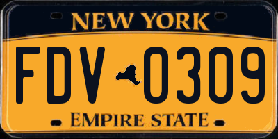 NY license plate FDV0309