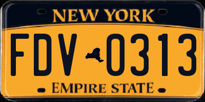 NY license plate FDV0313