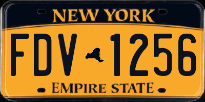 NY license plate FDV1256