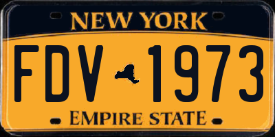 NY license plate FDV1973