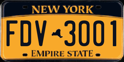 NY license plate FDV3001