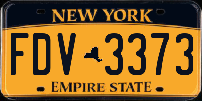 NY license plate FDV3373
