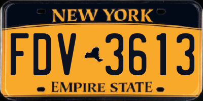 NY license plate FDV3613