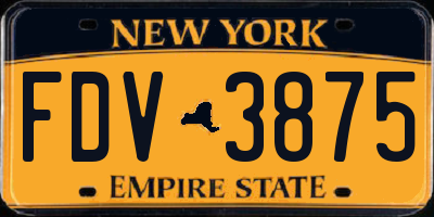 NY license plate FDV3875