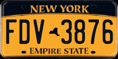 NY license plate FDV3876