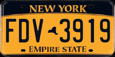 NY license plate FDV3919