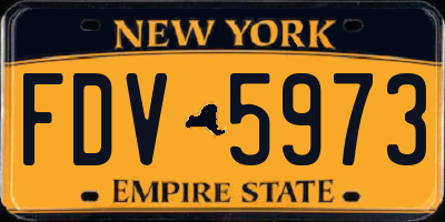 NY license plate FDV5973