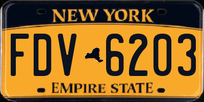 NY license plate FDV6203