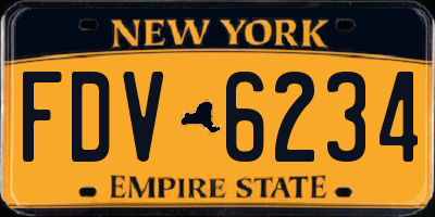 NY license plate FDV6234