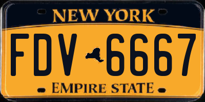 NY license plate FDV6667
