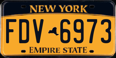 NY license plate FDV6973