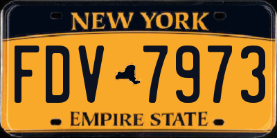 NY license plate FDV7973