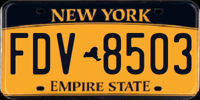 NY license plate FDV8503