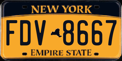 NY license plate FDV8667