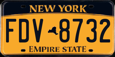 NY license plate FDV8732