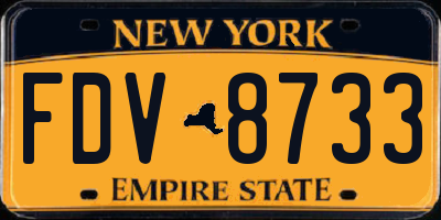 NY license plate FDV8733