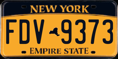 NY license plate FDV9373