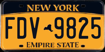 NY license plate FDV9825