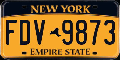 NY license plate FDV9873