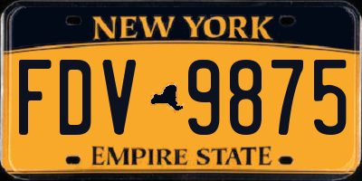NY license plate FDV9875