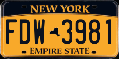 NY license plate FDW3981