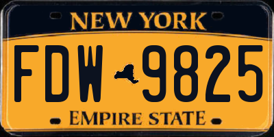 NY license plate FDW9825