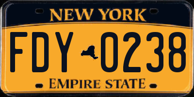 NY license plate FDY0238