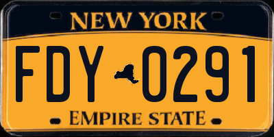 NY license plate FDY0291