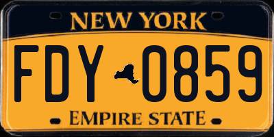 NY license plate FDY0859