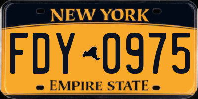 NY license plate FDY0975