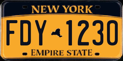 NY license plate FDY1230