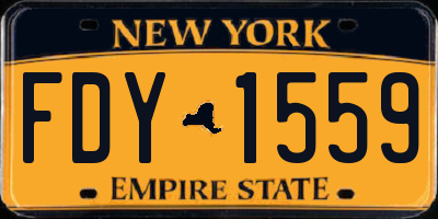 NY license plate FDY1559