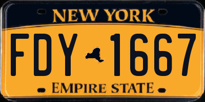 NY license plate FDY1667
