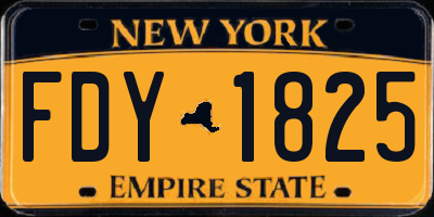 NY license plate FDY1825
