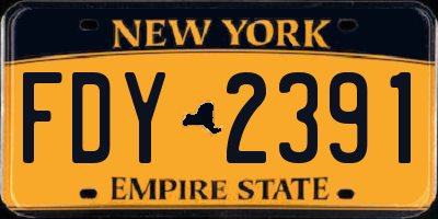 NY license plate FDY2391