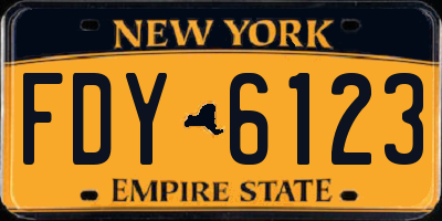 NY license plate FDY6123