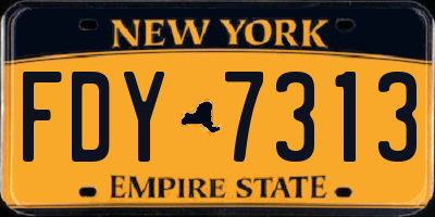 NY license plate FDY7313