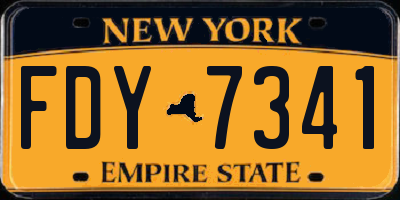 NY license plate FDY7341