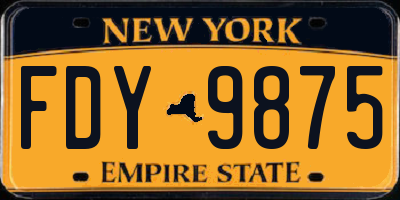 NY license plate FDY9875