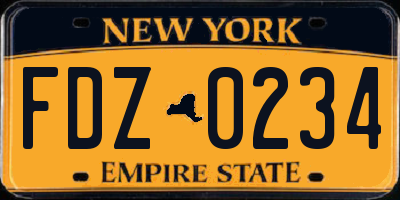 NY license plate FDZ0234
