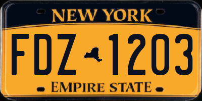 NY license plate FDZ1203