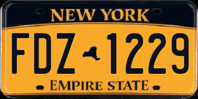 NY license plate FDZ1229