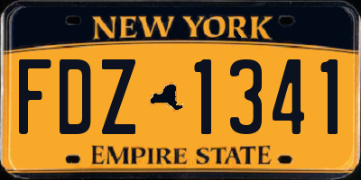 NY license plate FDZ1341