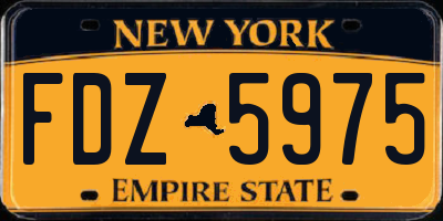 NY license plate FDZ5975