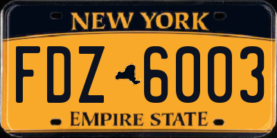 NY license plate FDZ6003