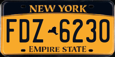 NY license plate FDZ6230